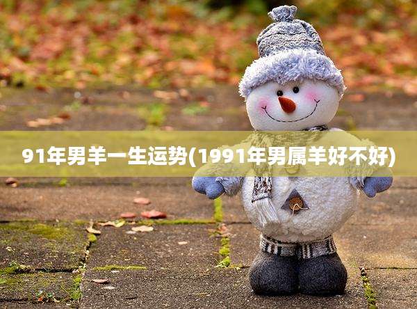 91年男羊一生运势(1991年男属羊好不好)