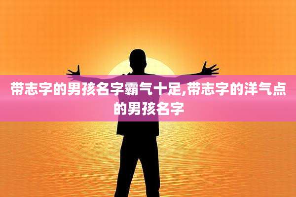 带志字的男孩名字霸气十足,带志字的洋气点的男孩名字