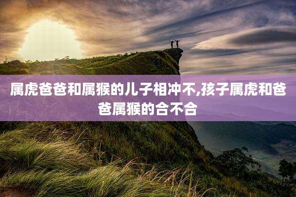 属虎爸爸和属猴的儿子相冲不,孩子属虎和爸爸属猴的合不合