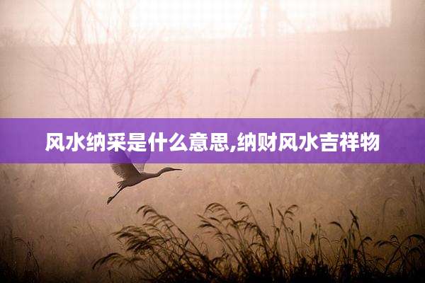 风水纳采是什么意思,纳财风水吉祥物