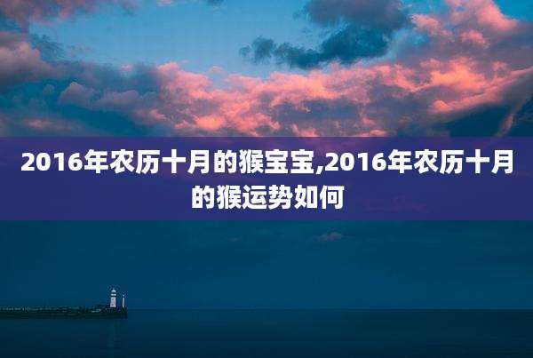 2016年农历十月的猴宝宝,2016年农历十月的猴运势如何