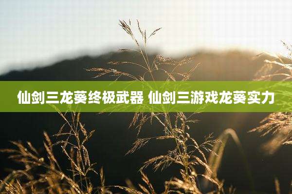 仙剑三龙葵终极武器 仙剑三游戏龙葵实力