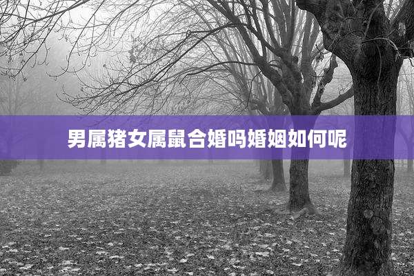 男属猪女属鼠合婚吗婚姻如何呢