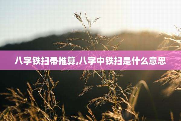 八字铁扫帚推算,八字中铁扫是什么意思