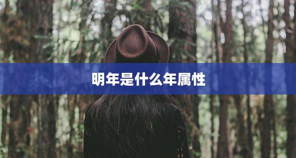 明年是什么年属性