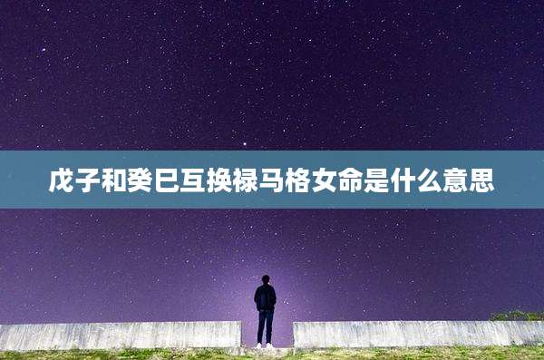 戊子和癸巳互换禄马格女命是什么意思