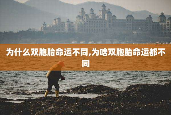 为什么双胞胎命运不同,为啥双胞胎命运都不同