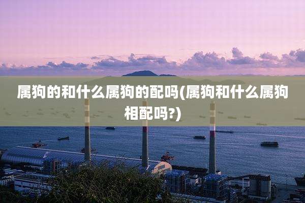 属狗的和什么属狗的配吗(属狗和什么属狗相配吗?)