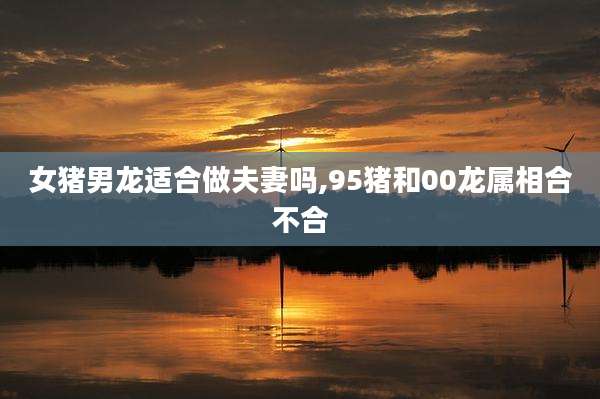 女猪男龙适合做夫妻吗,95猪和00龙属相合不合