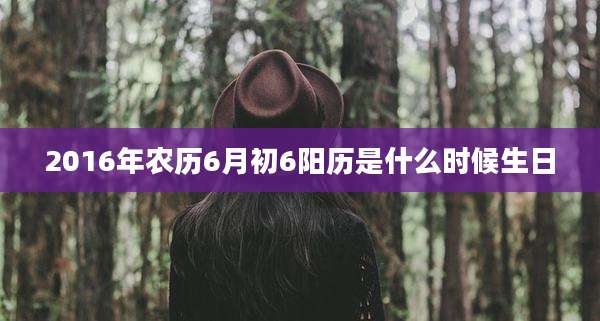 2016年农历6月初6阳历是什么时候生日