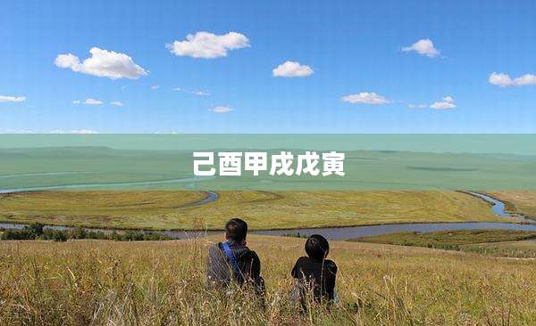 己酉甲戌戊寅