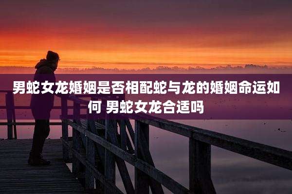 男蛇女龙婚姻是否相配蛇与龙的婚姻命运如何 男蛇女龙合适吗