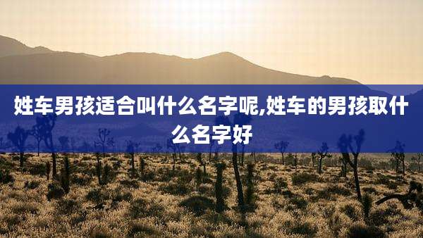 姓车男孩适合叫什么名字呢,姓车的男孩取什么名字好