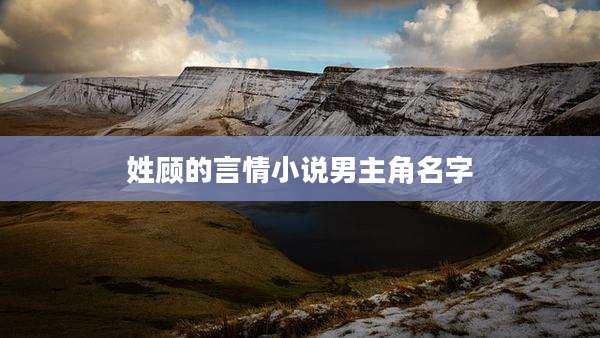 姓顾的言情小说男主角名字
