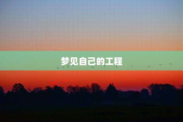 梦见自己的工程