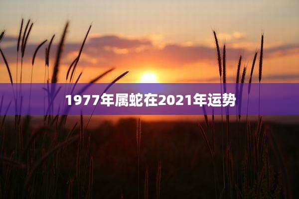 1977年属蛇在2021年运势