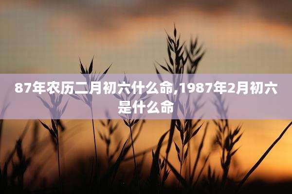 87年农历二月初六什么命,1987年2月初六是什么命