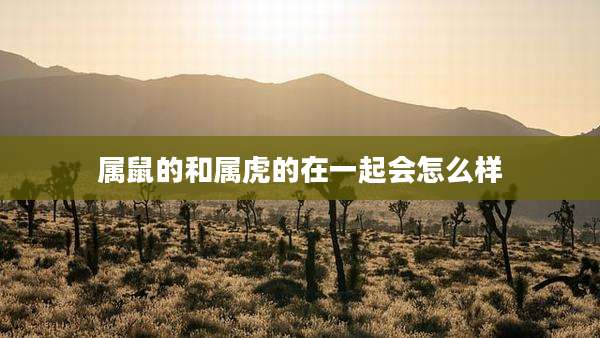 属鼠的和属虎的在一起会怎么样