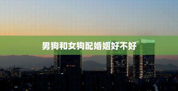 男狗和女狗配婚姻好不好