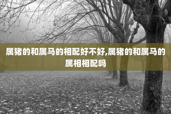 属猪的和属马的相配好不好,属猪的和属马的属相相配吗