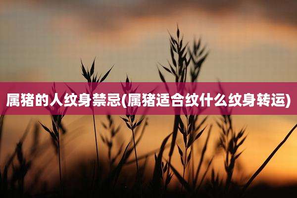 属猪的人纹身禁忌(属猪适合纹什么纹身转运)