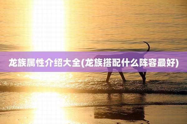 龙族属性介绍大全(龙族搭配什么阵容最好)