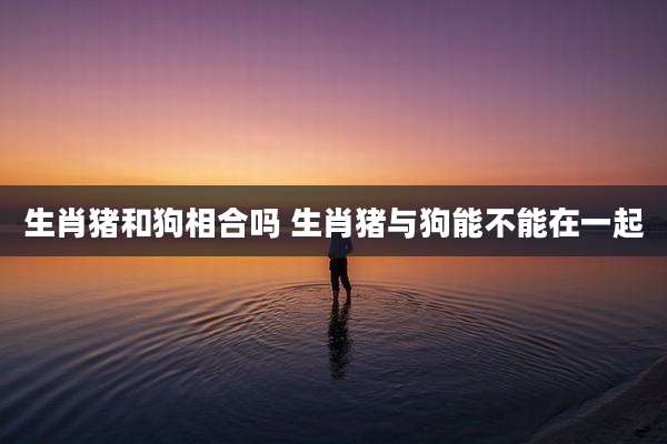 生肖猪和狗相合吗 生肖猪与狗能不能在一起