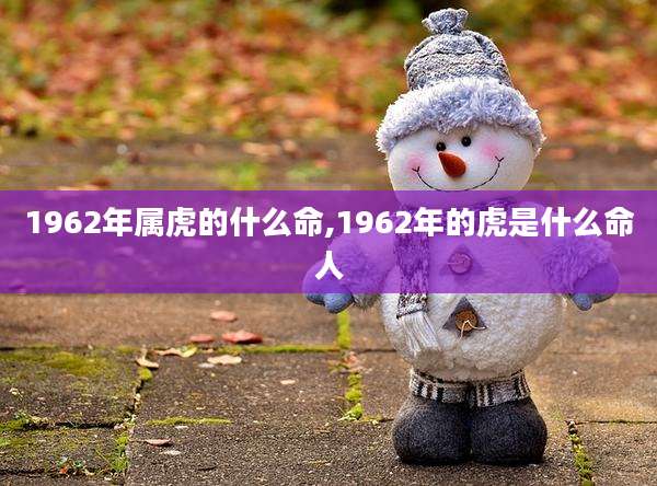 1962年属虎的什么命,1962年的虎是什么命人