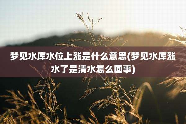 梦见水库水位上涨是什么意思(梦见水库涨水了是清水怎么回事)
