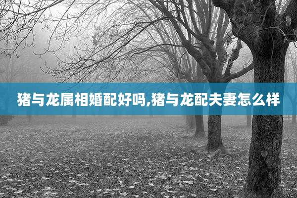 猪与龙属相婚配好吗,猪与龙配夫妻怎么样