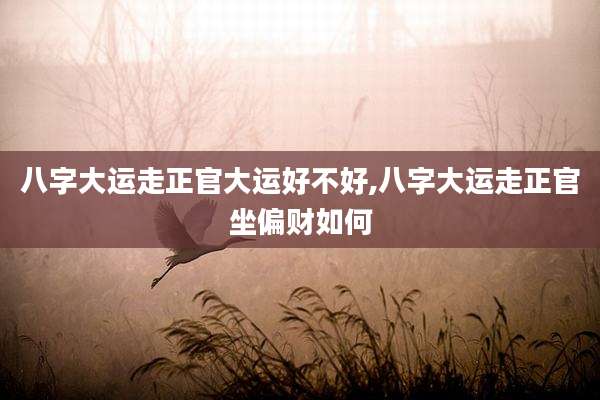 八字大运走正官大运好不好,八字大运走正官坐偏财如何