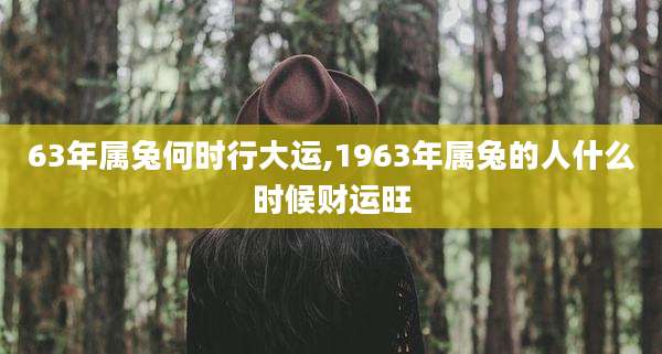 63年属兔何时行大运,1963年属兔的人什么时候财运旺