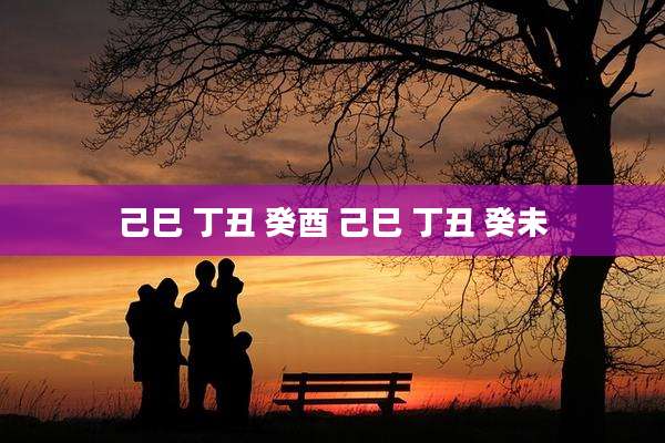 己巳 丁丑 癸酉 己巳 丁丑 癸未