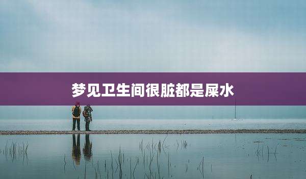 梦见卫生间很脏都是屎水