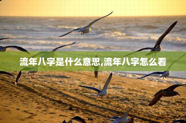 流年八字是什么意思,流年八字怎么看