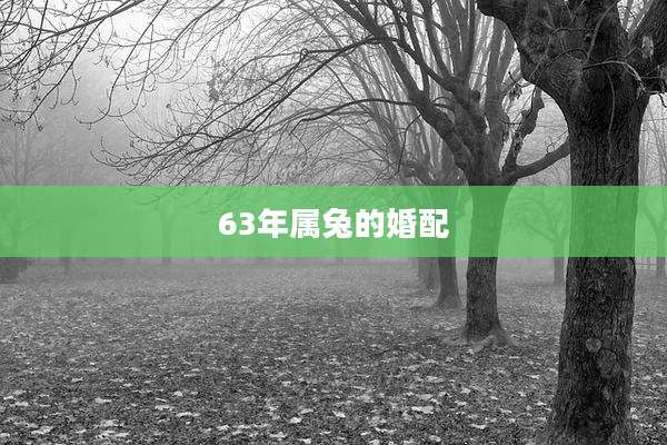 63年属兔的婚配