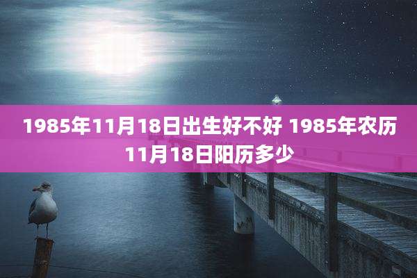 1985年11月18日出生好不好 1985年农历11月18日阳历多少
