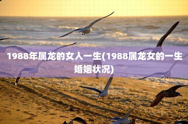 1988年属龙的女人一生(1988属龙女的一生婚姻状况)