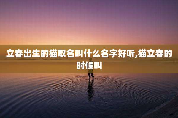 立春出生的猫取名叫什么名字好听,猫立春的时候叫
