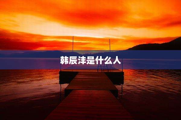 韩辰沣是什么人