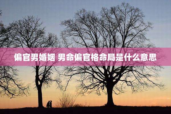 偏官男婚姻 男命偏官格命局是什么意思