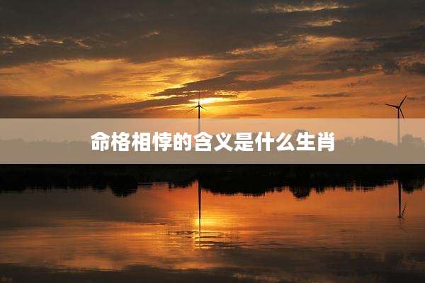 命格相悖的含义是什么生肖