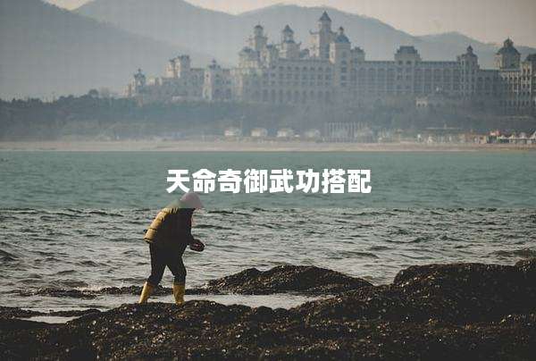 天命奇御武功搭配