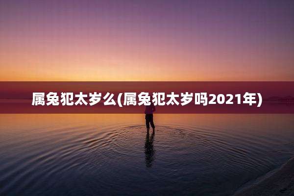 属兔犯太岁么(属兔犯太岁吗2021年)