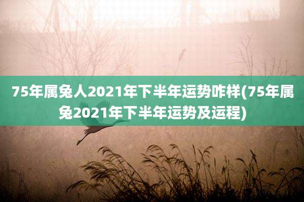 75年属兔人2021年下半年运势咋样(75年属兔2021年下半年运势及运程)