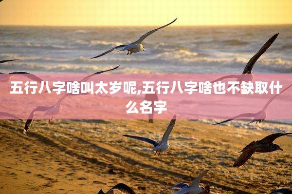 五行八字啥叫太岁呢,五行八字啥也不缺取什么名字