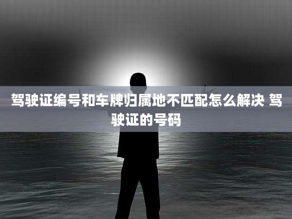 驾驶证编号和车牌归属地不匹配怎么解决 驾驶证的号码