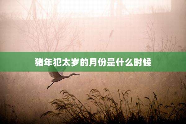 猪年犯太岁的月份是什么时候