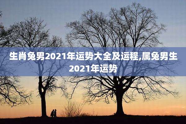 生肖兔男2021年运势大全及运程,属兔男生2021年运势