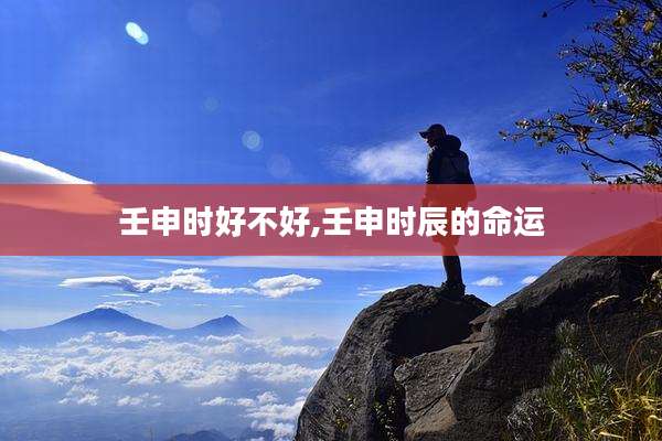 壬申时好不好,壬申时辰的命运